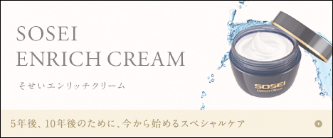 そせいエンリッチクリーム 販売店